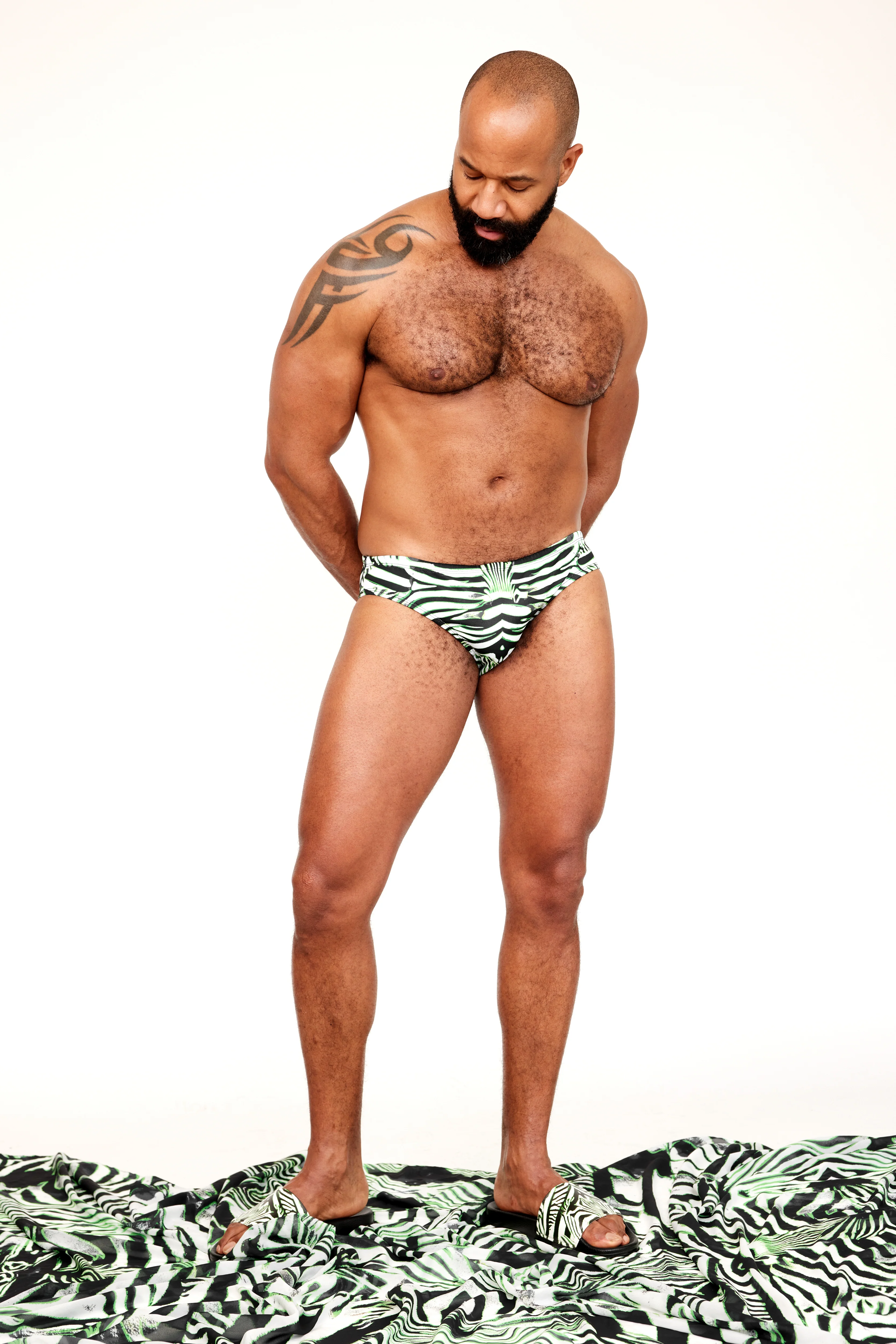 The Euro Brief // ZEBRA - Image 4