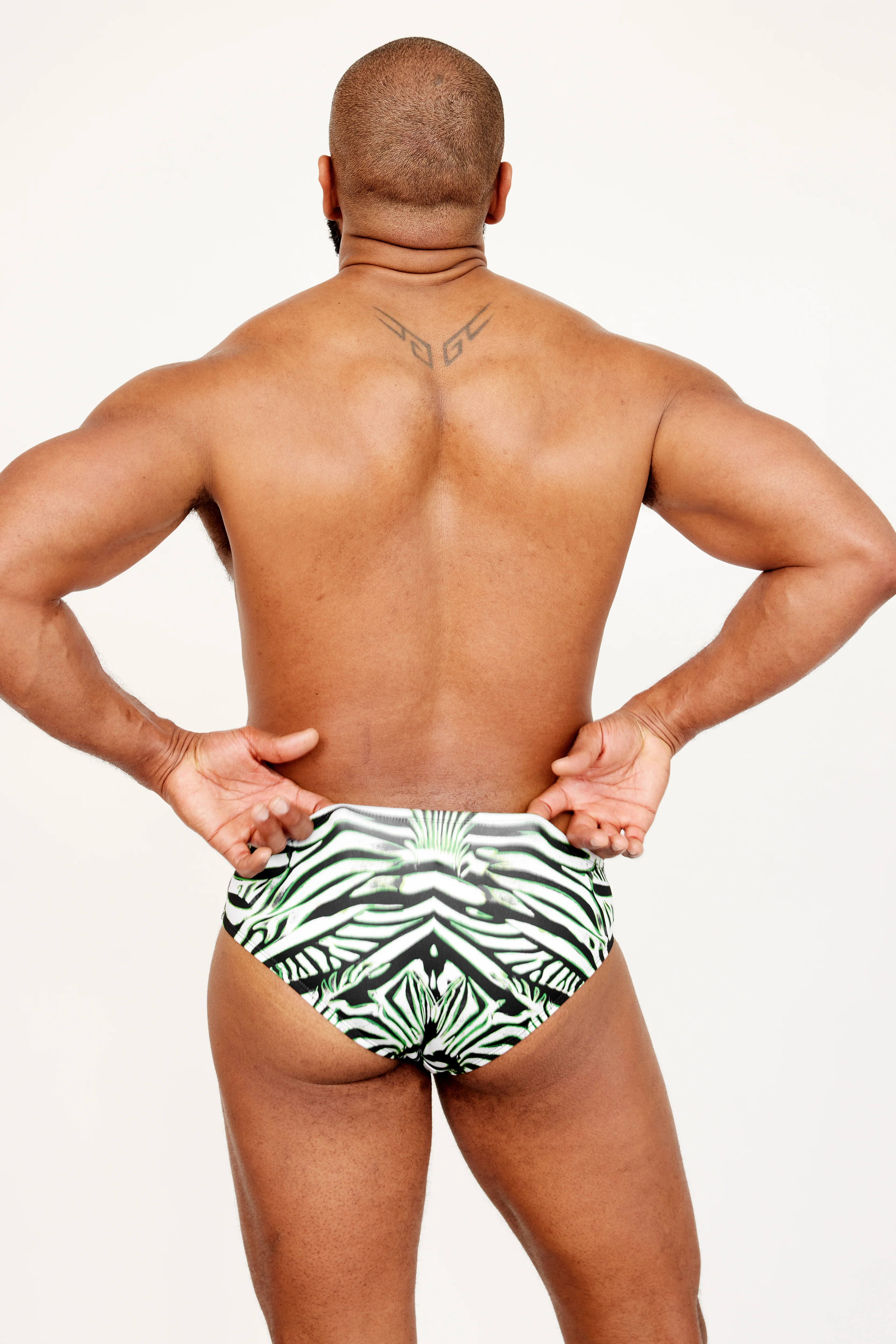 The Euro Brief // ZEBRA - Image 6