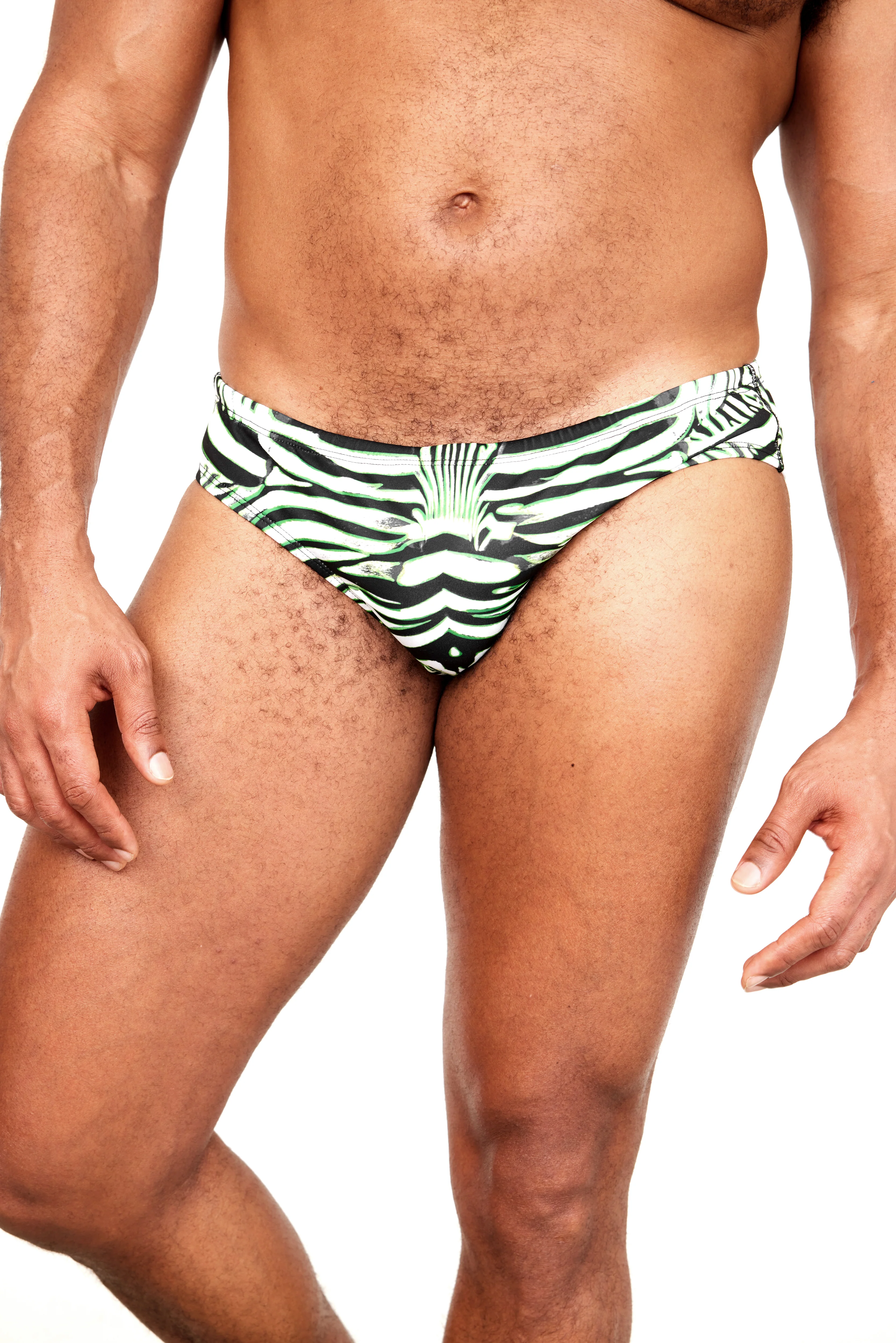 The Euro Brief // ZEBRA - Image 9