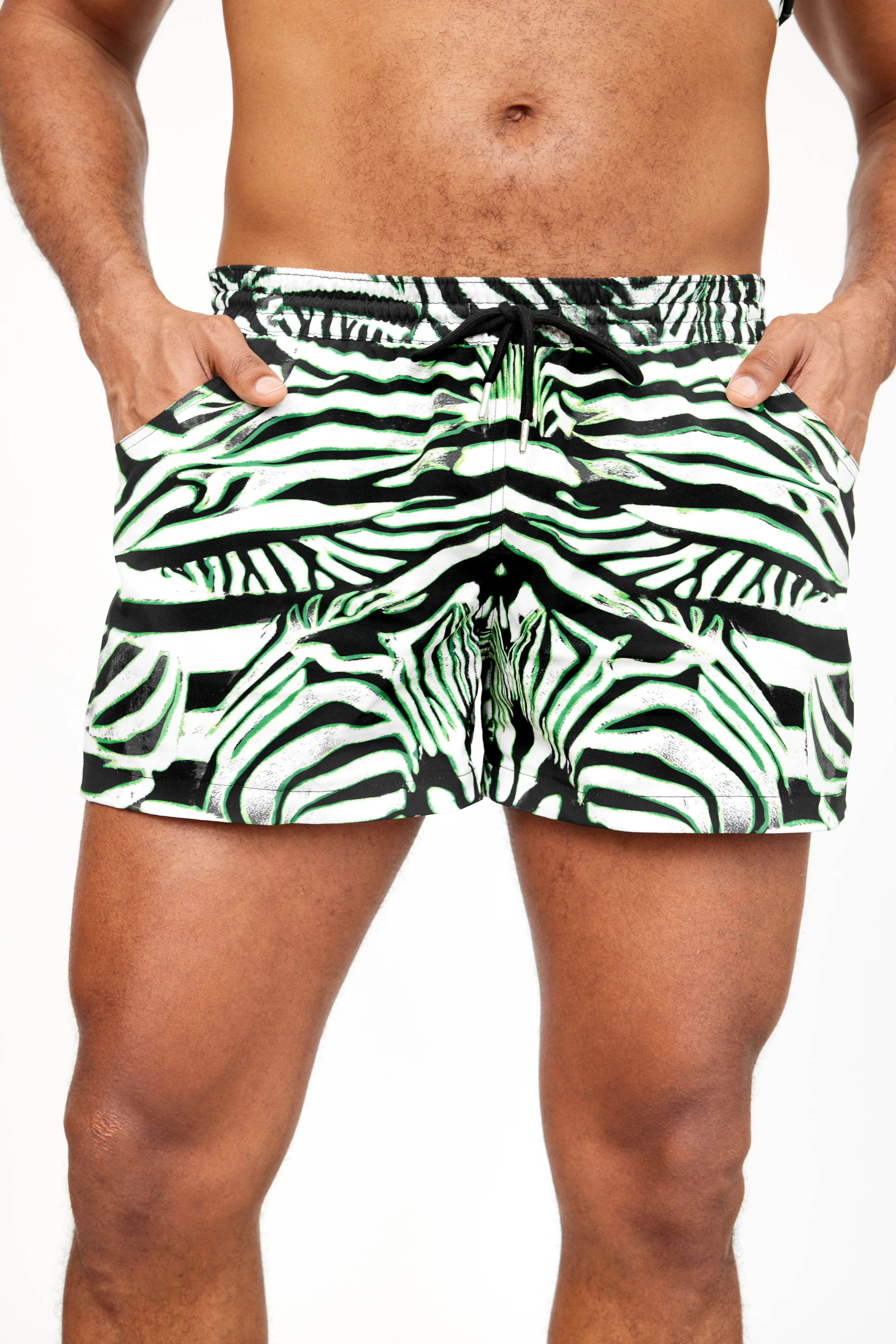 The Trunk // ZEBRA - Image 6